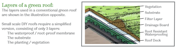 green-roof-layers